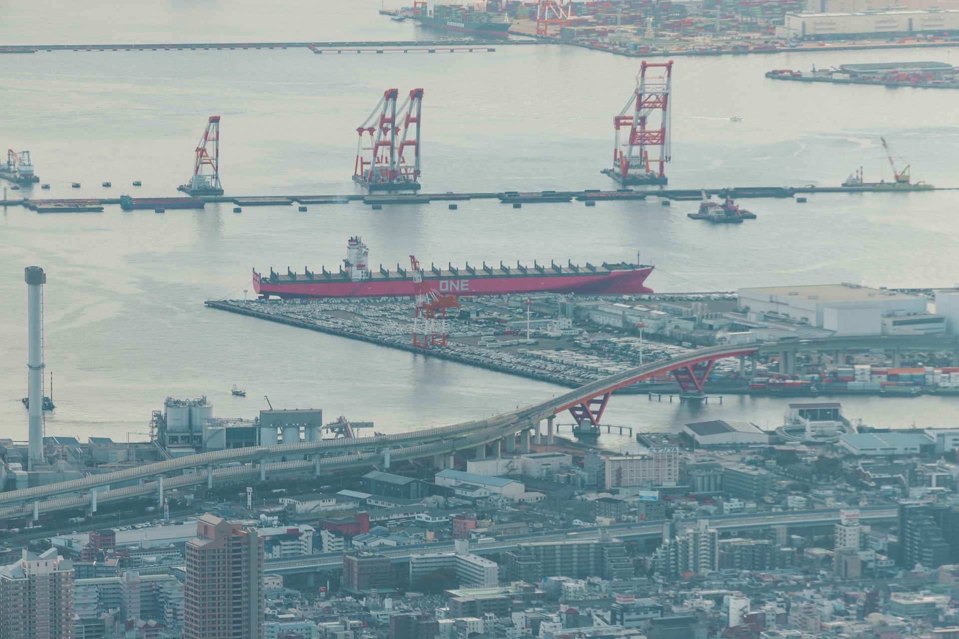 kobe-4975872_1920.jpg